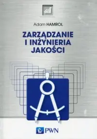 Szybka dostawa Zarządzanie i inżynieria jakości