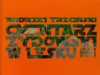 Darmowa dostawa Cmentarz żydowski w Lesku cz. 2. Wiek XVIII