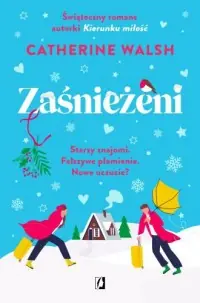 Zaśnieżeni Hit cenowy