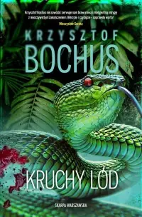 Kruchy lód Wyjątkowa oferta