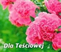 Super okazja Perełka 269. Dla teściowej.
