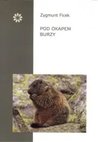 Pod okapem burzy Kup online