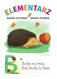 Ostatnia szansa Elementarz. Nauka czytania. Nauka pisania