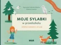 Moje sylabki w przedszkolu. Różnicowanie sylab Obniżka ceny