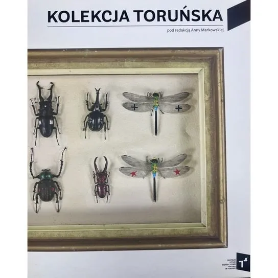 Kolekcja Toruńska. Zbiory Centrum Sztuki Współczesnej Znaki Czasu w Toruniu Hit sprzedaży