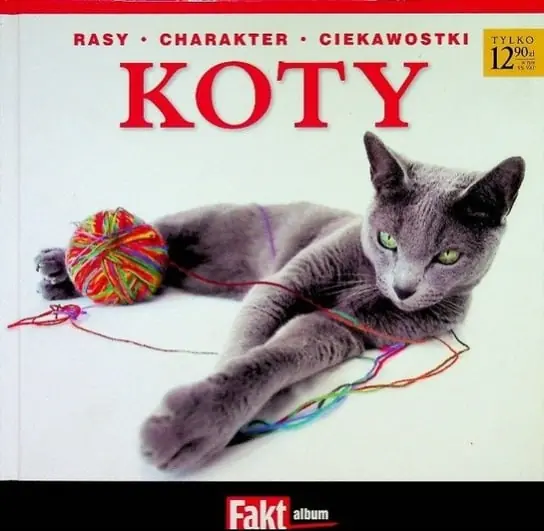 Album koty Rabat