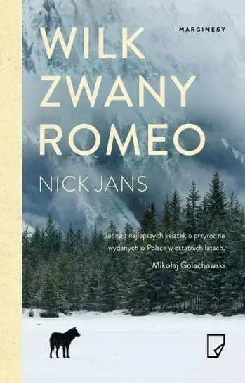 Premium Wilk zwany Romeo