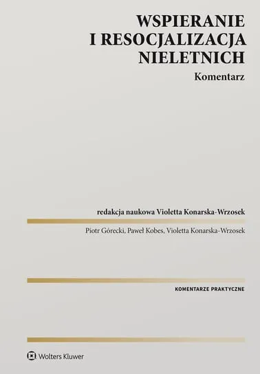Bezpieczne zakupy Wspieranie i resocjalizacja nieletnich. Komentarz