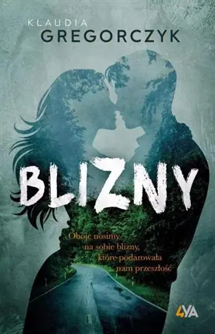 BLIZNY S.NOWY Super okazja