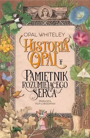 HISTORIA OPAL PAMIETNIK ROZUMIEJĄCEGO SERCA Niska cena