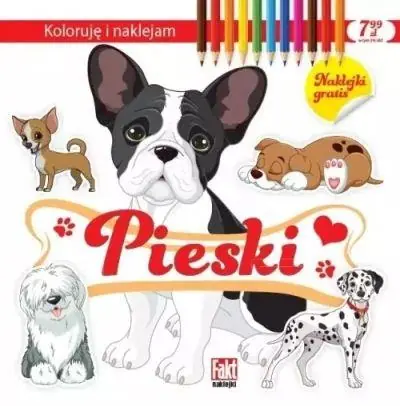KOLORUJĘ I NAJKLEJAM. PIESKI Szybka wysyłka