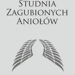 STUDNIA ZAGUBIONYCH ANIOŁÓW Cena promocyjna