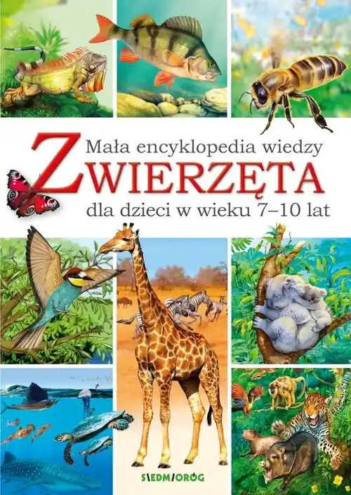 Wysoka jakość Mała encyklopedia wiedzy Zwierzęta