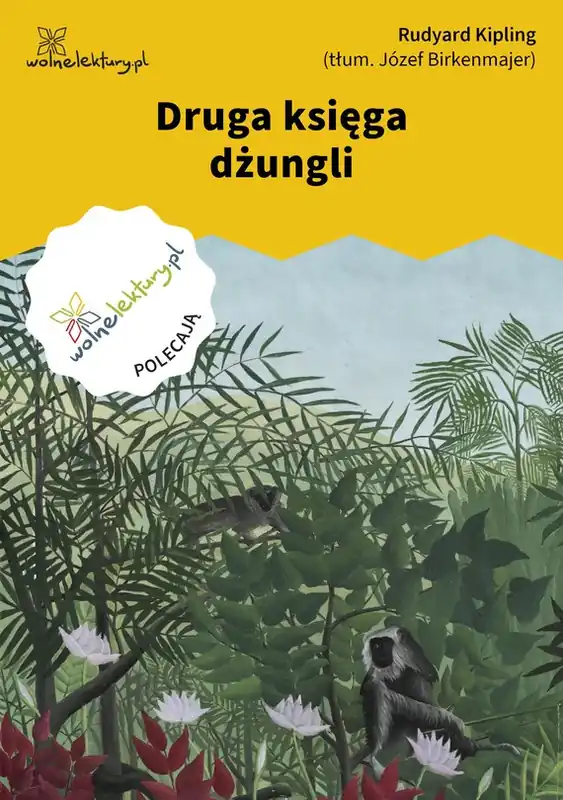 Druga księga dżungli Super okazja