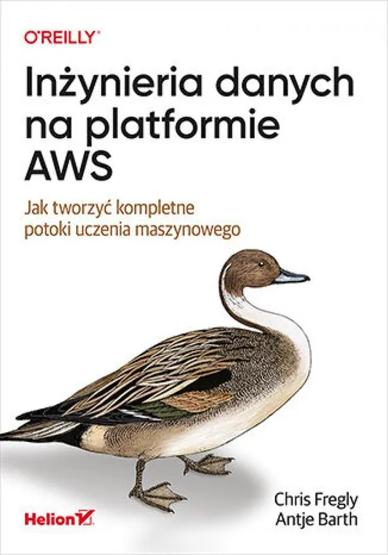 Ostatnia szansa Inżynieria danych na platformie AWS. Jak tworzyć kompletne potoki uczenia maszynowego