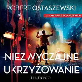 Szybka wysyłka Niezwyczajne ukrzyżowanie. Podkomisarz Rita Lewandowska. Tom 3