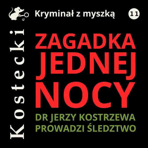 Zagadka jednej nocy Nowy