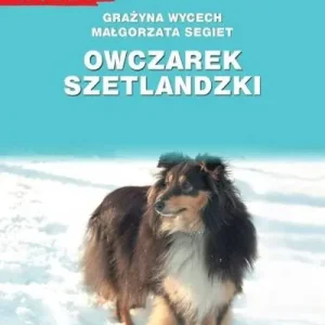 Sprawdź teraz Owczarek szetlandzki