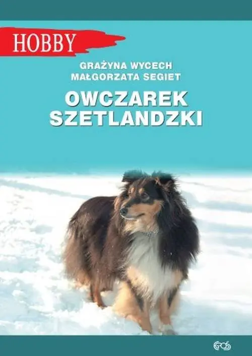Sprawdź teraz Owczarek szetlandzki