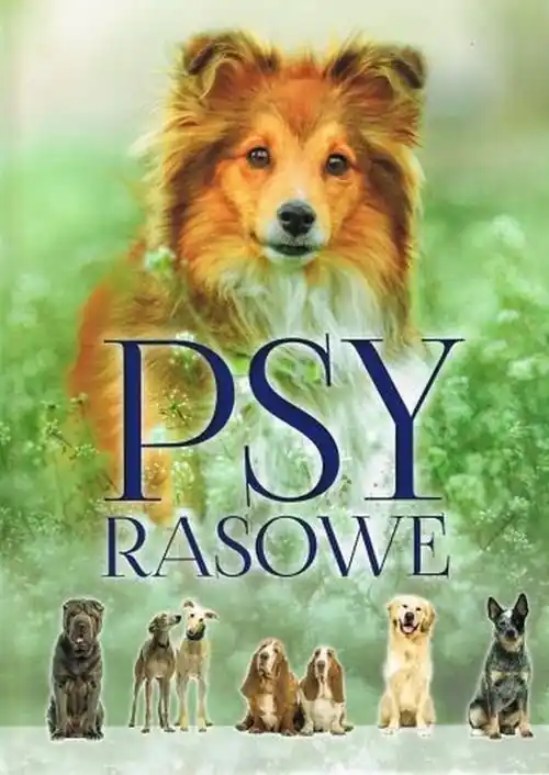 Kup teraz Psy rasowe