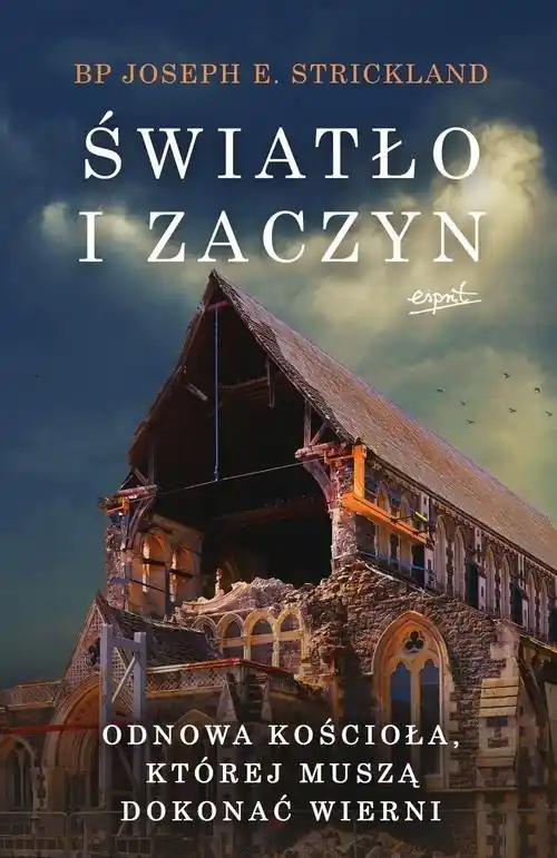 Światło i zaczyn Odnowa Kościoła, której muszą dokonać wierni Wybór klientów