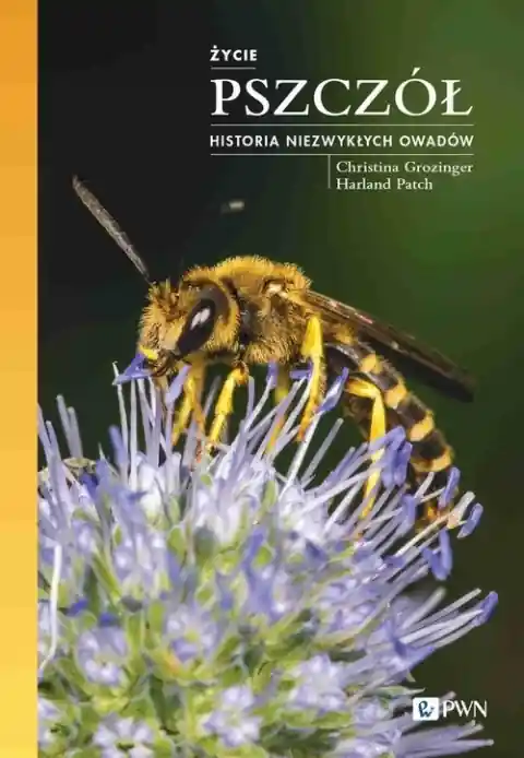 Życie pszczół. Historia niezwykłych owadów Oferta czasowa