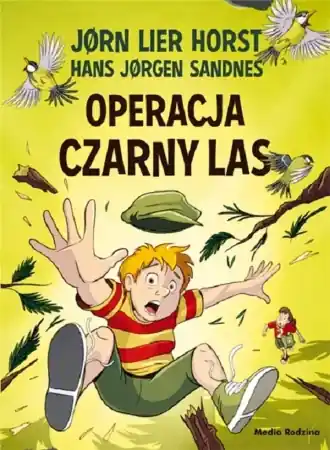 Bezpieczne zakupy Operacja Czarny Las - Jorn Lier Horst, Hans Jorgen Sandnes