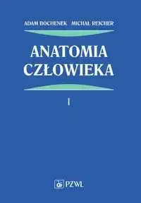 Anatomia człowieka T.1 - Adam Bochenek, Michał Reicher Obniżka ceny